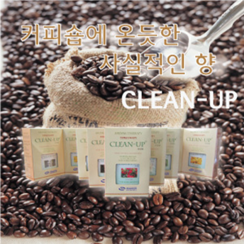 CLEAN-UP 사각형 향수향