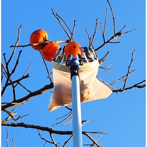 스텐 감따개 헤드 (감 과일 수확 도구)